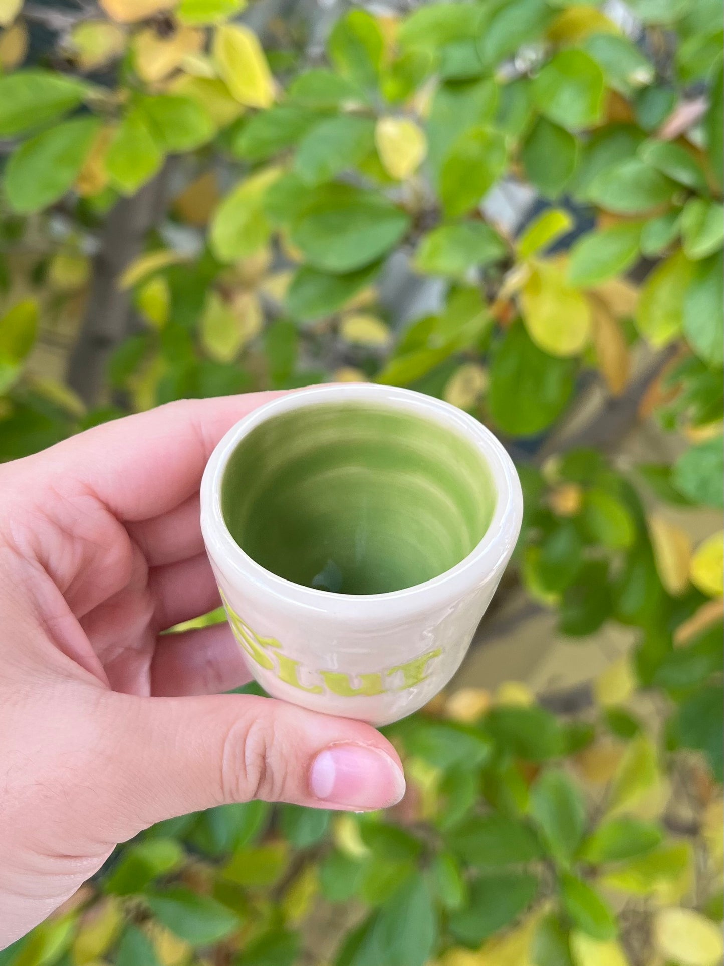 ShrekSlut Sake Cup