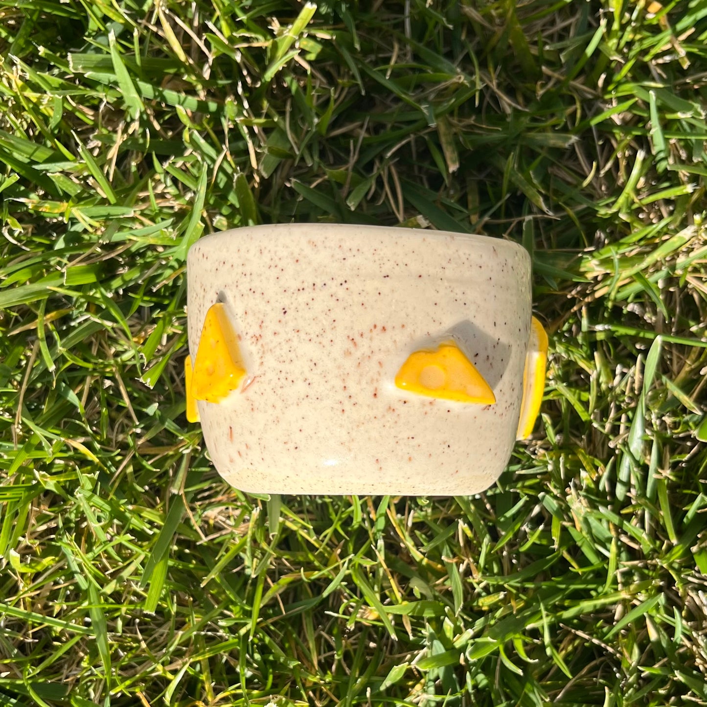 Cheese Bowl!