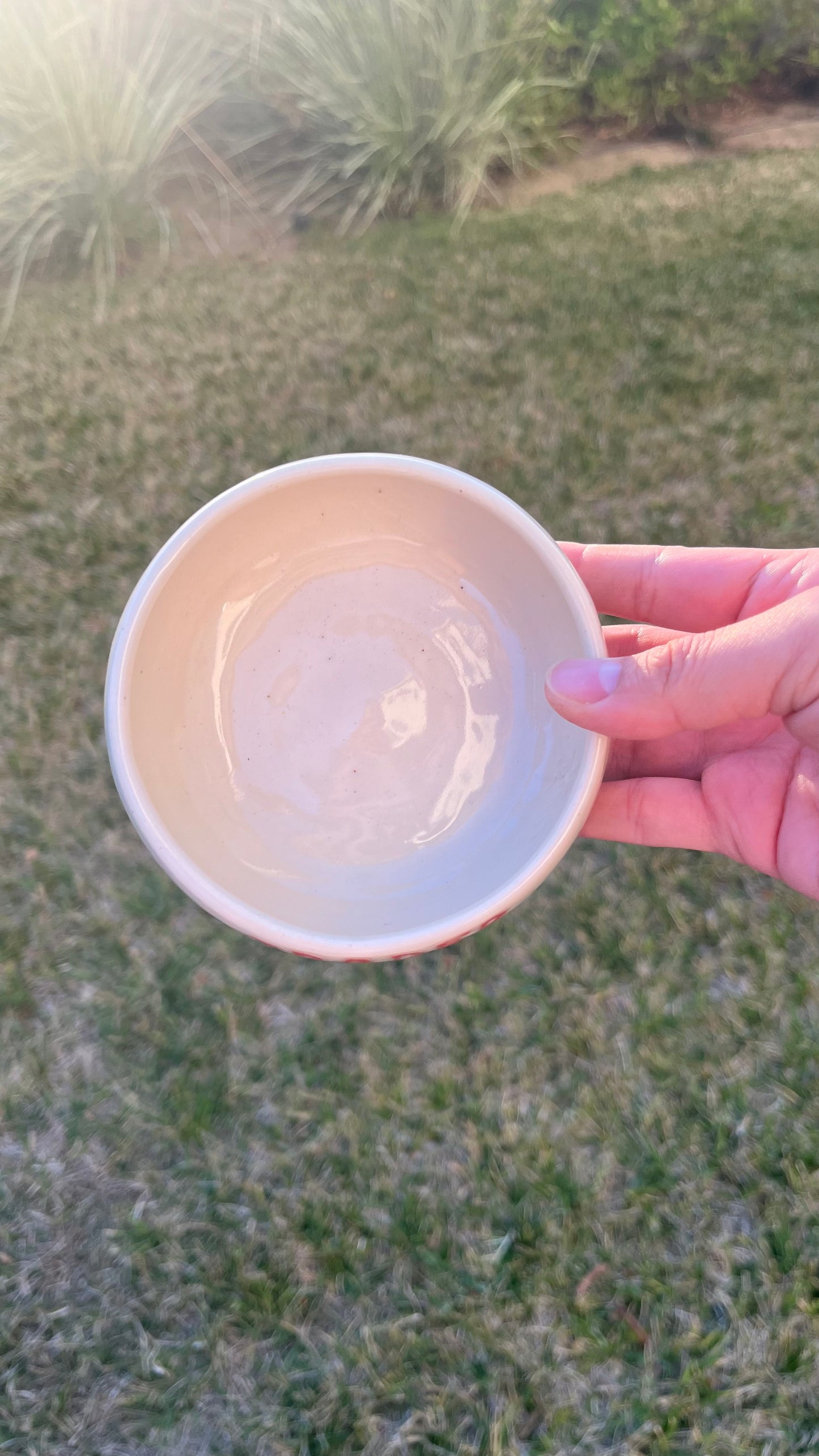 Trader Hoe’s Bowl