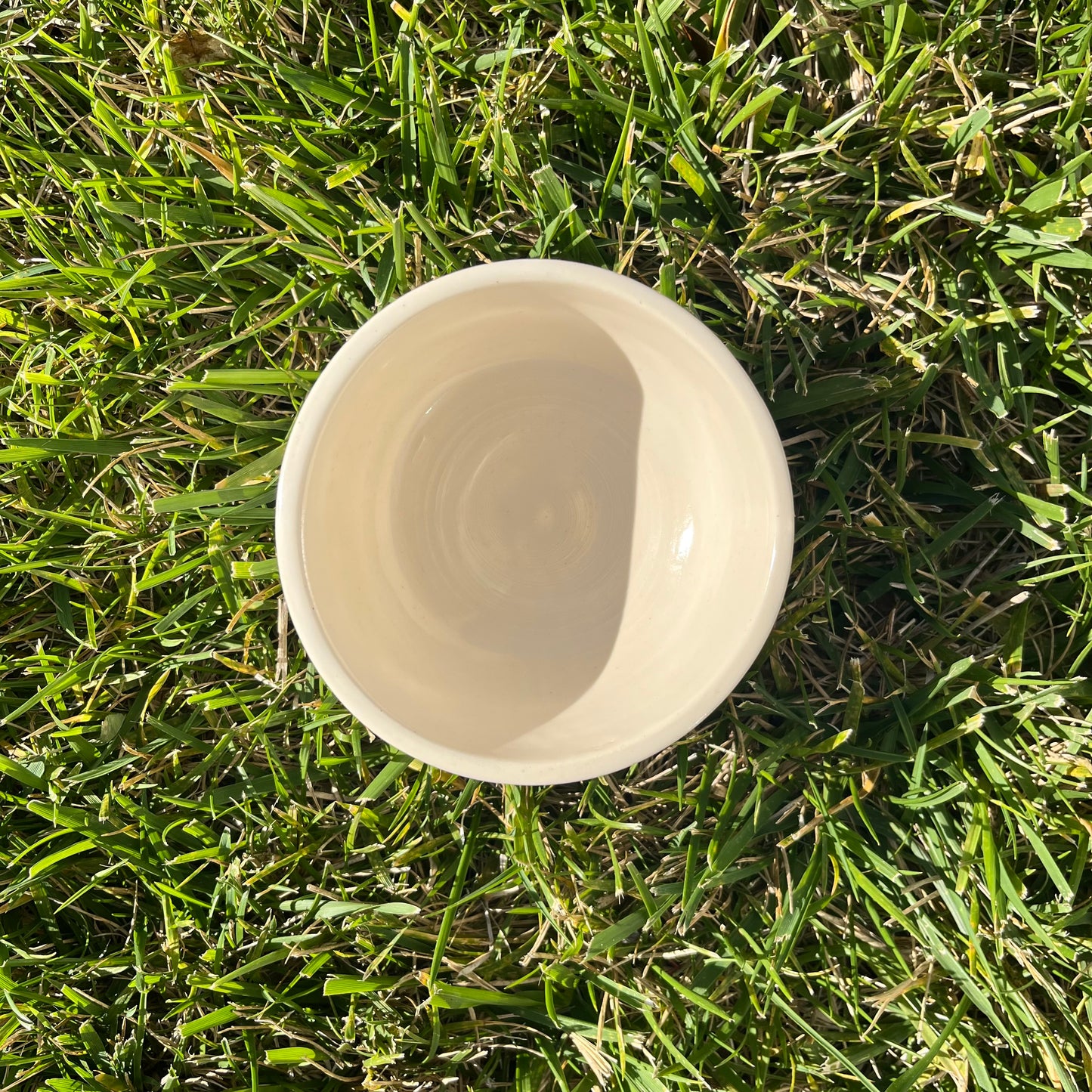 Hot and Smart Bowl