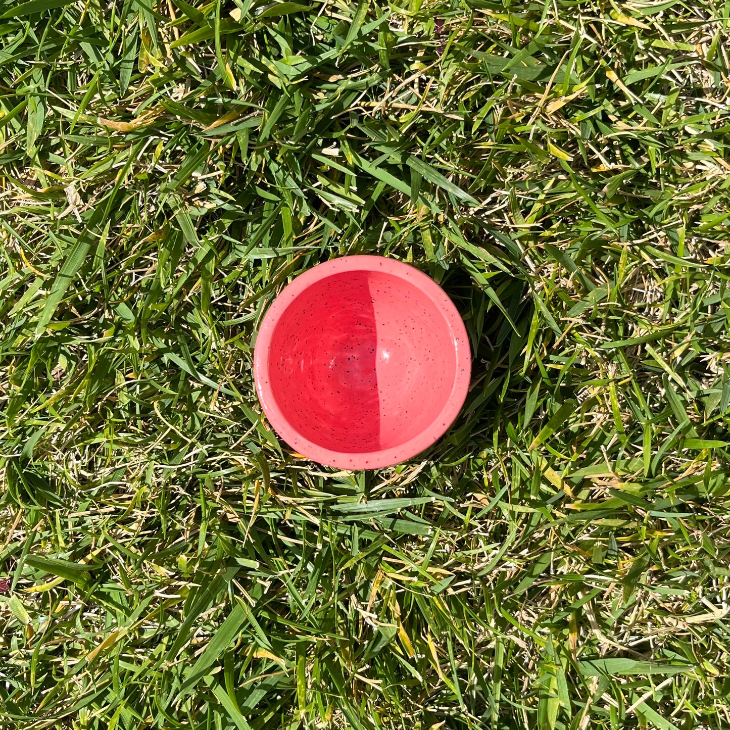 Strawberry Cup