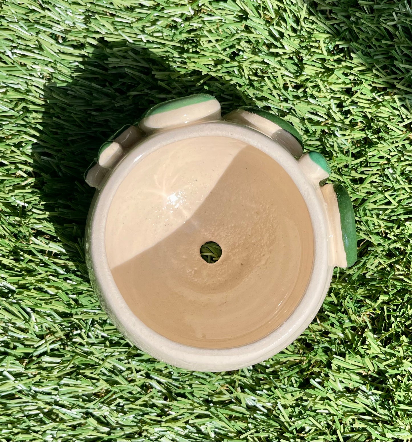 Plant Planter for Plants