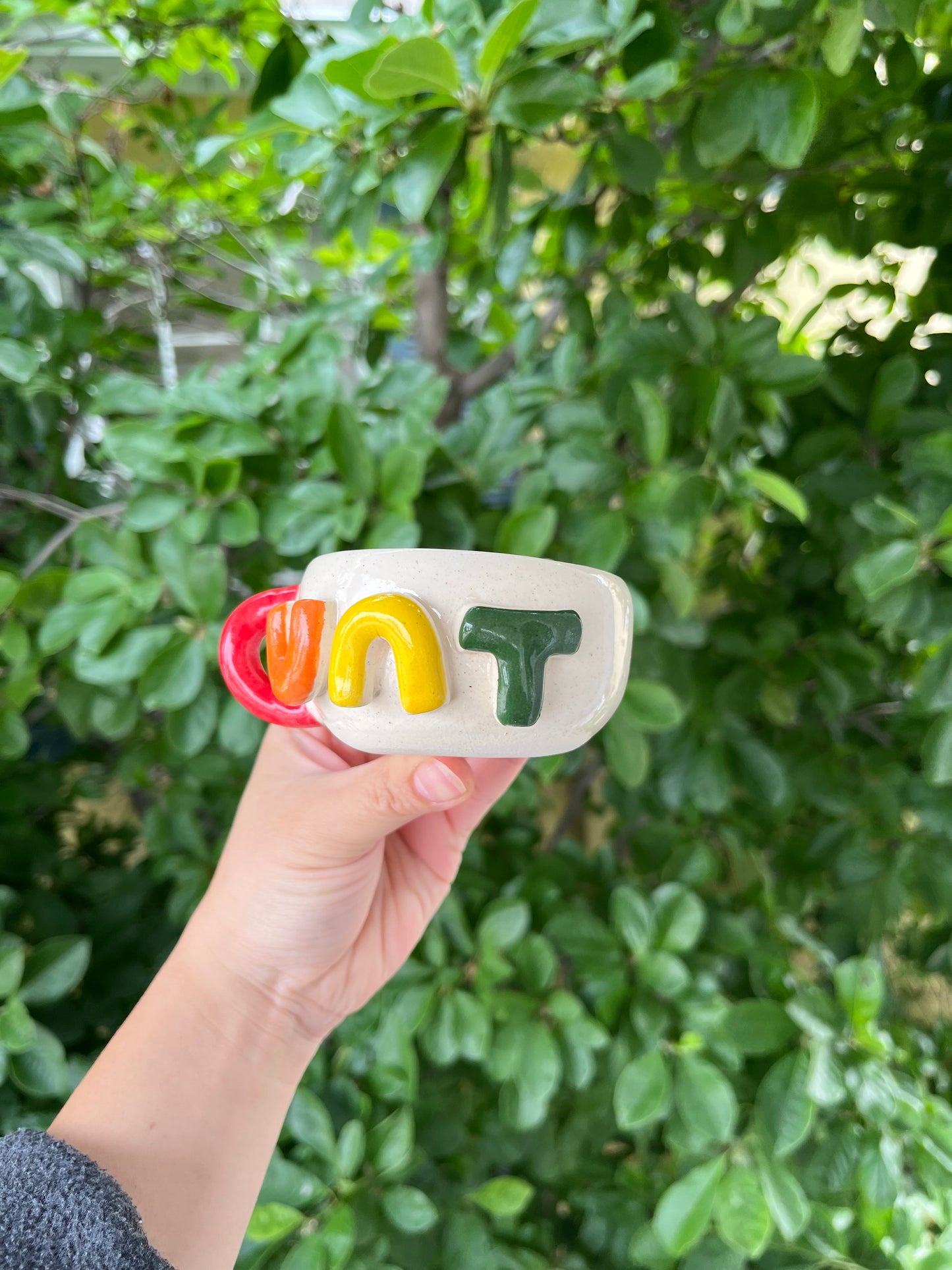 Rainbow Cunt Mug